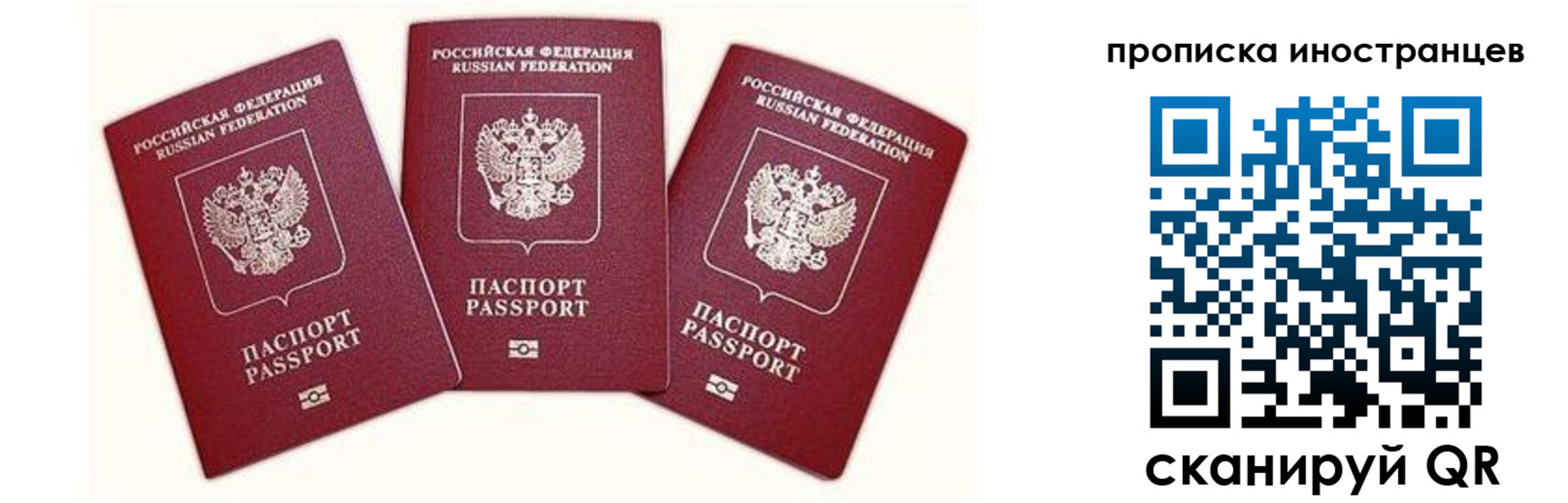 прописка в Ярославской области